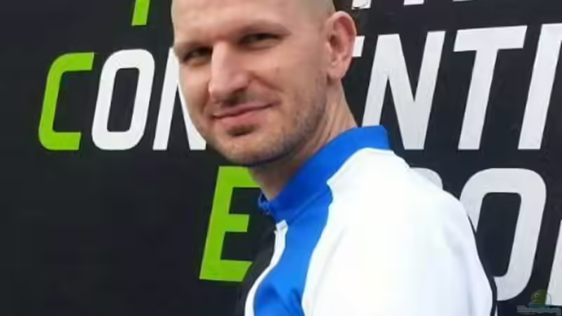 Userbild von Beulenkopftyp von Beulenkopftyp (39)