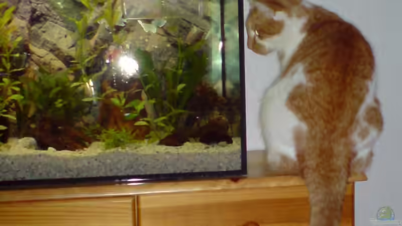 Userbild von bjoern von bjoern (10)