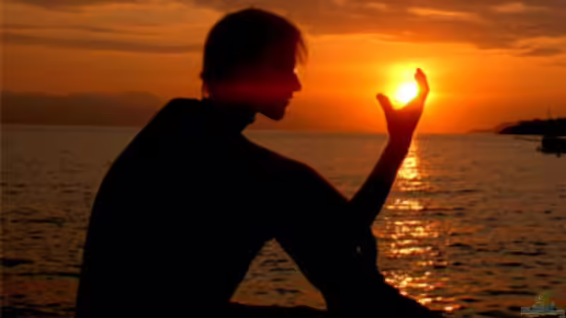 Userbild von Björns aqua von Björns aqua (16)