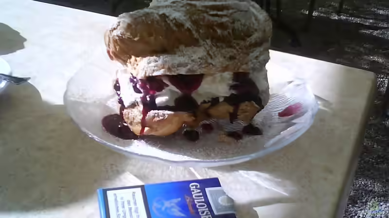 Userbild von Blubb Blubb von Blubb Blubb (6)