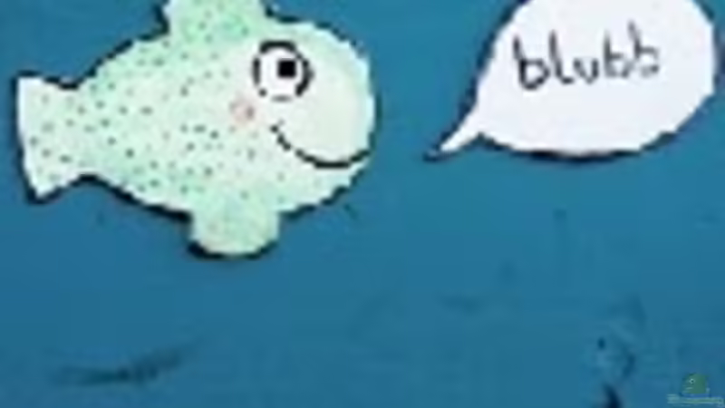 Userbild von Blubberblubs von Blubberblubs (14)