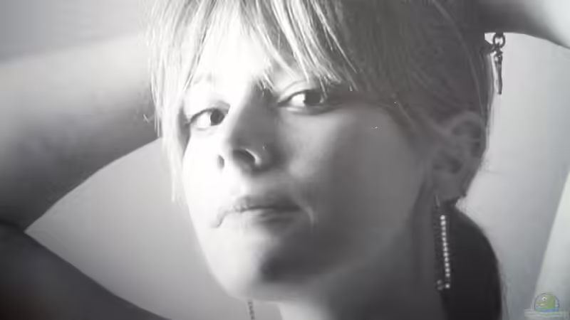 Userbild von bobbyfee von bobbyfee (21)