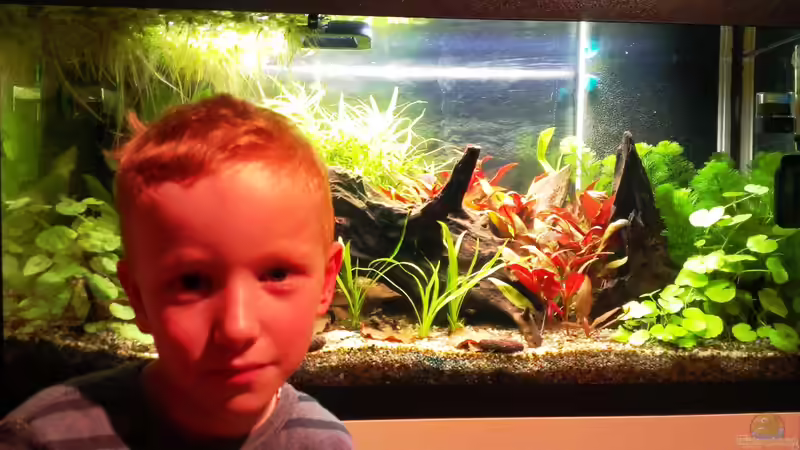 Userbild von bocap von bocap (32)