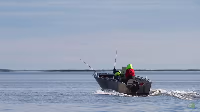 Userbild von Bodenseechris von Bodenseechris (12)