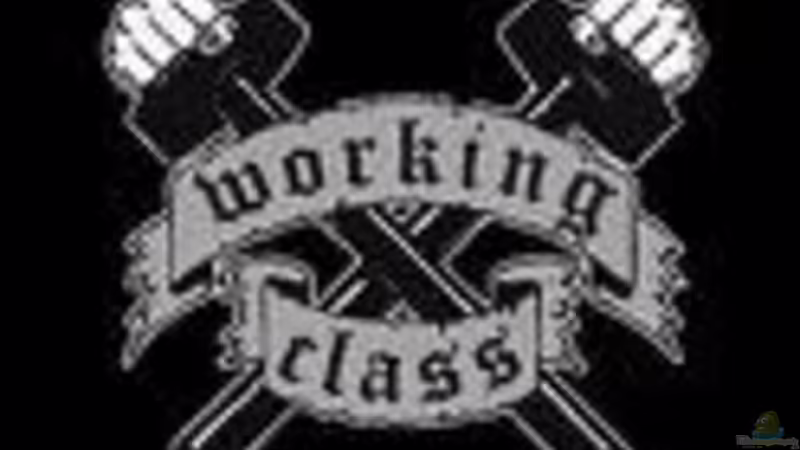 Userbild von Bootboy von Bootboy (14)