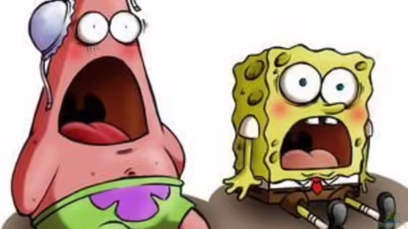 Userbild von BRANDNEW von BRANDNEW (21)