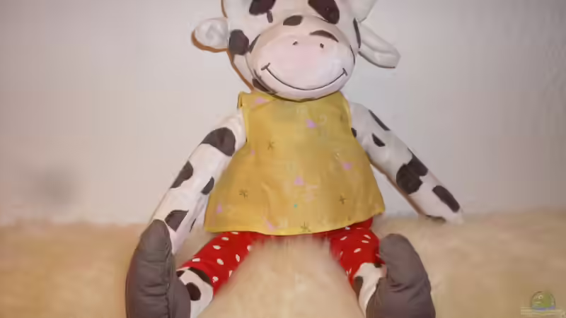 Userbild von Brausefisch von Brausefisch (16)