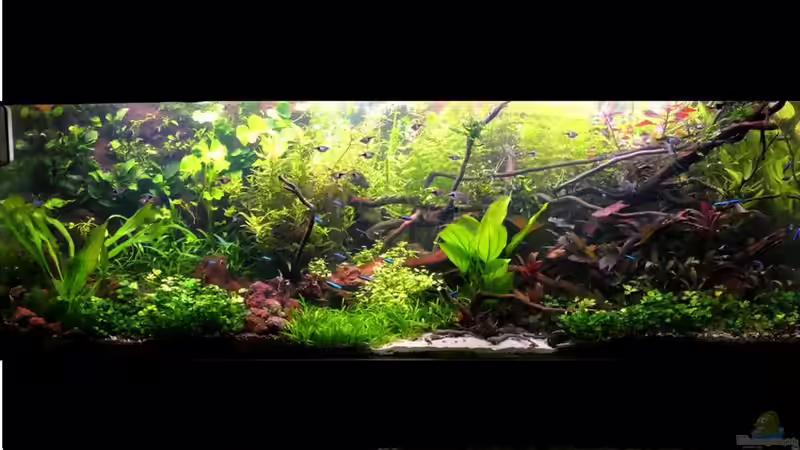 Userbild von brimar67 von brimar67 (35)