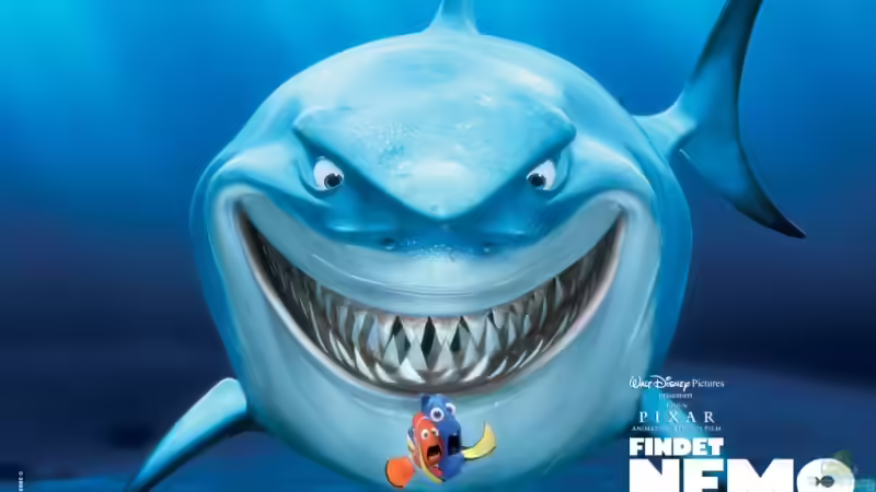 Userbild von Bruce von Bruce (19)