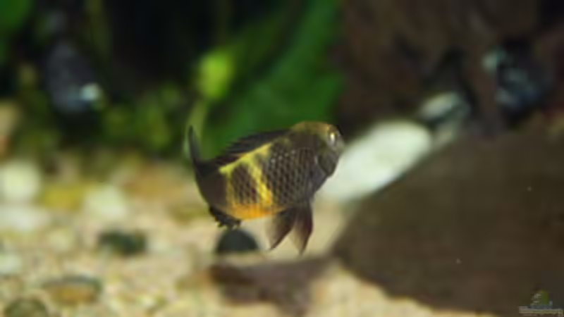 Userbild von Bruno Mosca von Bruno Mosca (3)