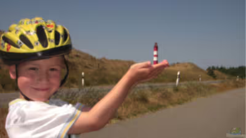 Userbild von Büdi II von Büdi II (26)