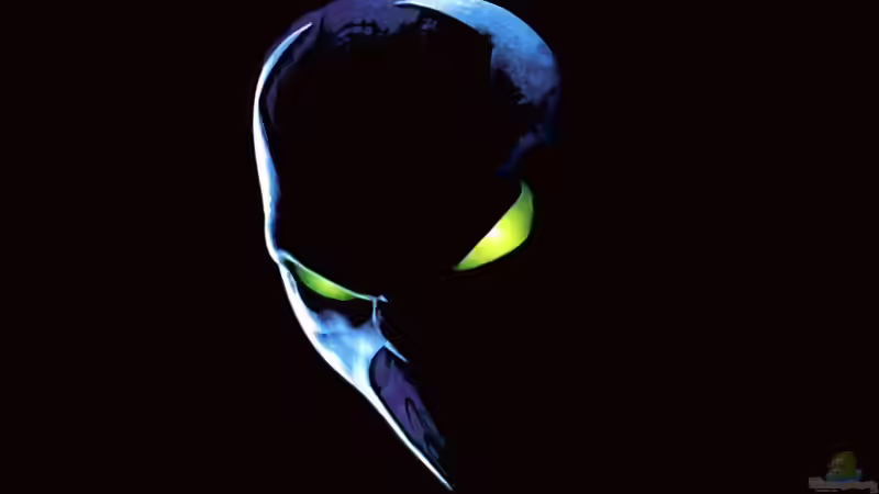 Userbild von Bullseye 77 von Bullseye 77 (7)