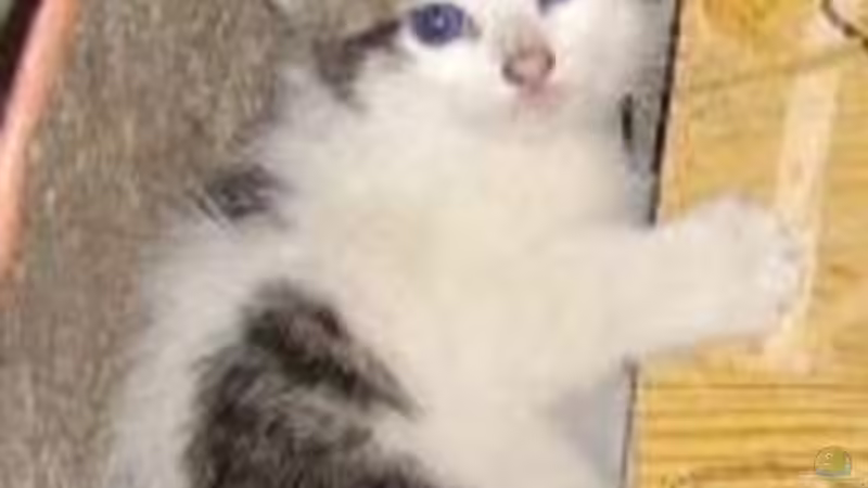 Userbild von Butterblume von Butterblume (14)