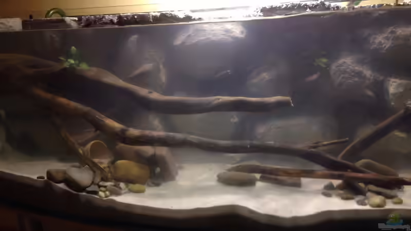 Userbild von Ca36du von Ca36du (4)