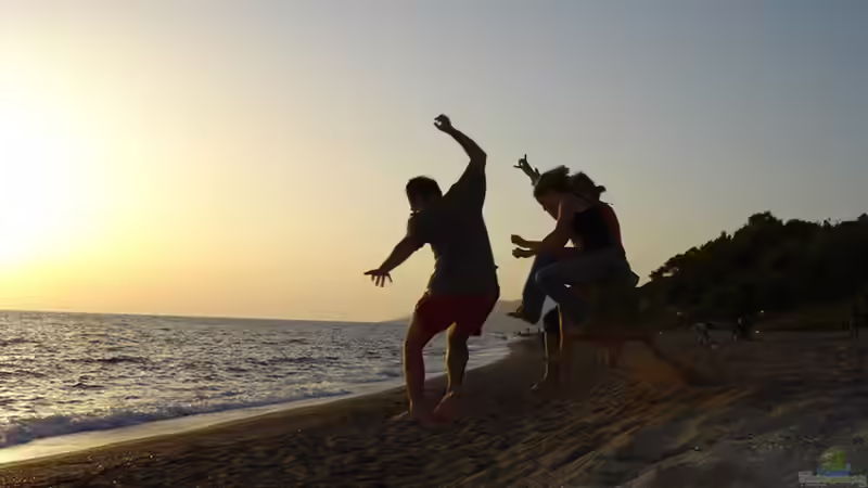 Userbild von carina_3 von carina_3 (2)