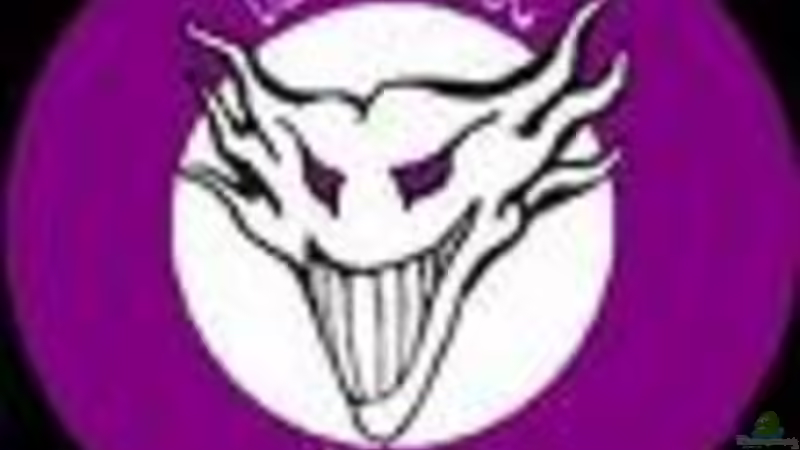 Userbild von Carlos Eduardo von Carlos Eduardo (19)