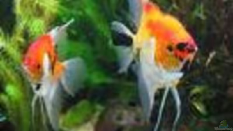 Userbild von Carmen Bernhardt von Carmen Bernhardt (21)