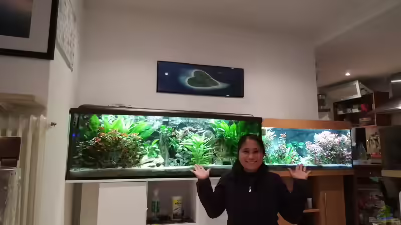 Userbild von Chinese Inai von Chinese Inai (46)