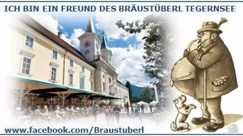 Userbild von Christian Bayerl von Christian Bayerl (30)