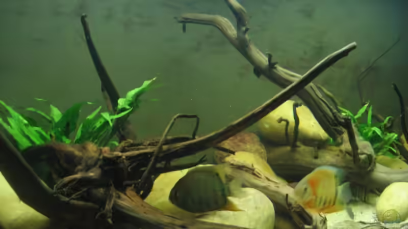 Userbild von Christian Dühr von Christian Dühr (6)