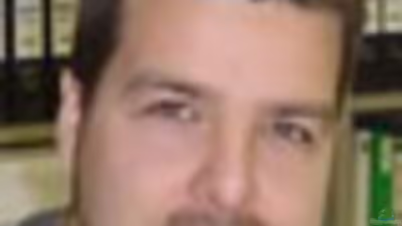 Userbild von Christian Hold von Christian Hold (12)