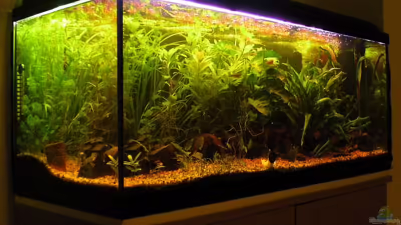 Userbild von Christian Lange von Christian Lange (6)