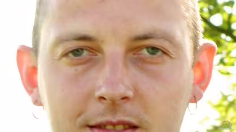 Userbild von Christian Schröter von Christian Schröter (24)