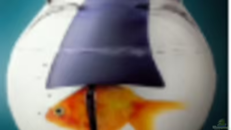 Userbild von Christian Schulz von Christian Schulz (7)