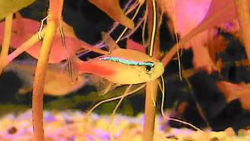 Userbild von Christian Seelos von Christian Seelos (4)