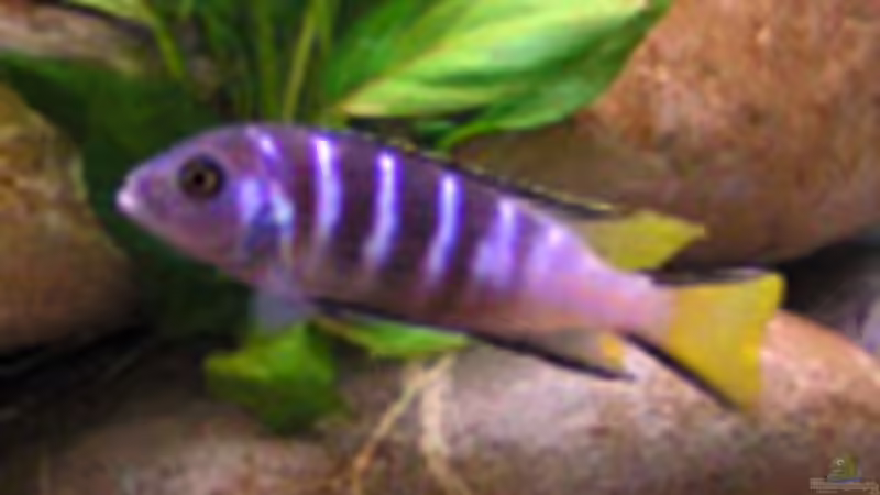 Userbild von Christoph Winter von Christoph Winter (25)