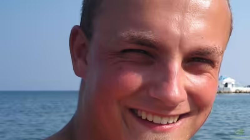 Userbild von Cichli von Cichli (7)