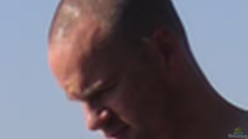 Userbild von Claudio Zeitler von Claudio Zeitler (11)