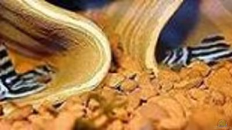 Userbild von Conny von Conny (12)