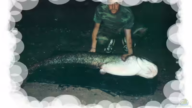 Userbild von Cornelius Ohligschläger von Cornelius Ohligschläger (9)