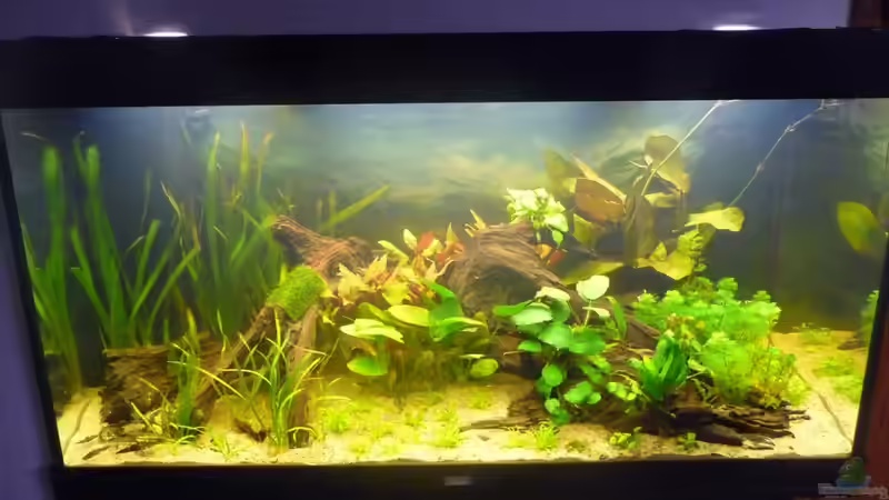 Userbild von Cpt Frischgemüse von Cpt Frischgemüse (12)