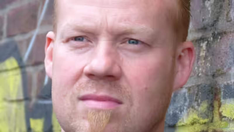 Userbild von Crashdragon von Crashdragon (31)