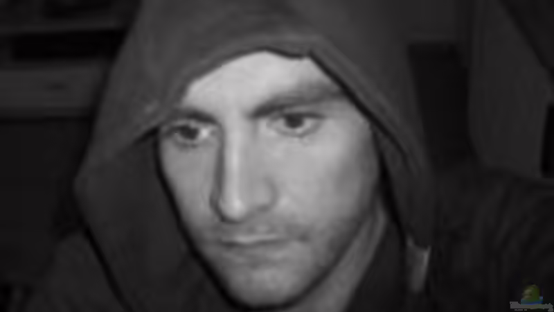 Userbild von Dal3838 von Dal3838 (26)