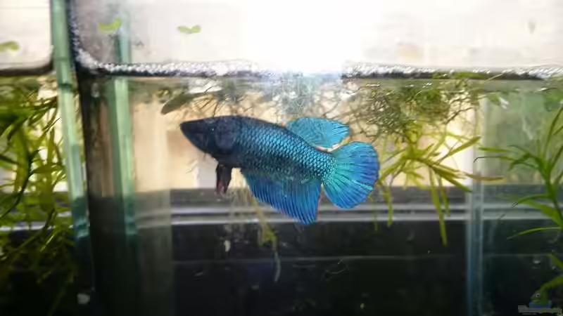 Userbild von Dana von Dana (8)