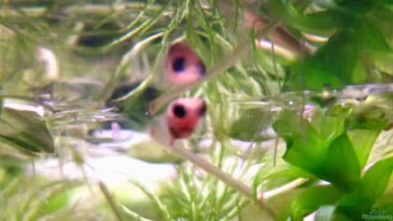 Userbild von DanBri von DanBri (36)