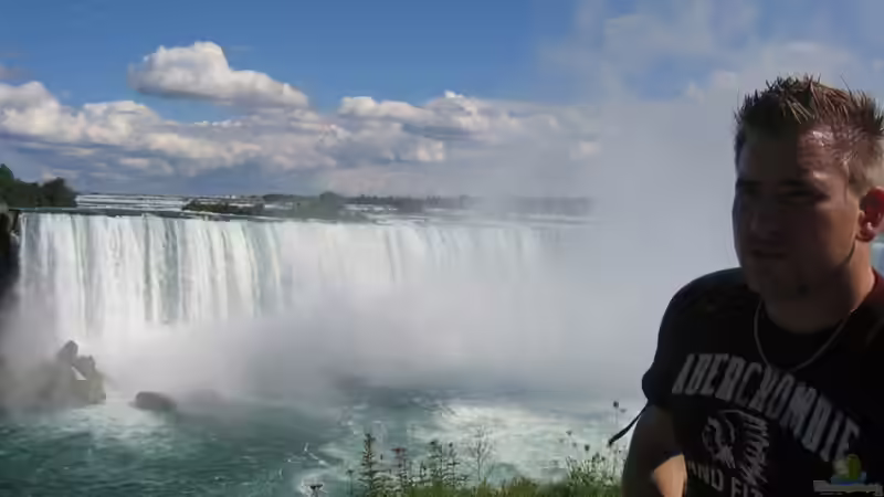 Userbild von Daniel Gauthier von Daniel Gauthier (7)