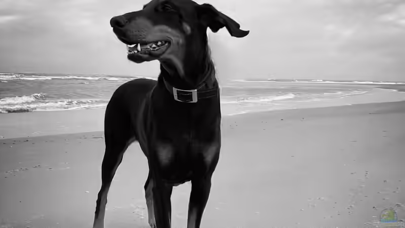 Userbild von Daniel Martick von Daniel Martick (8)