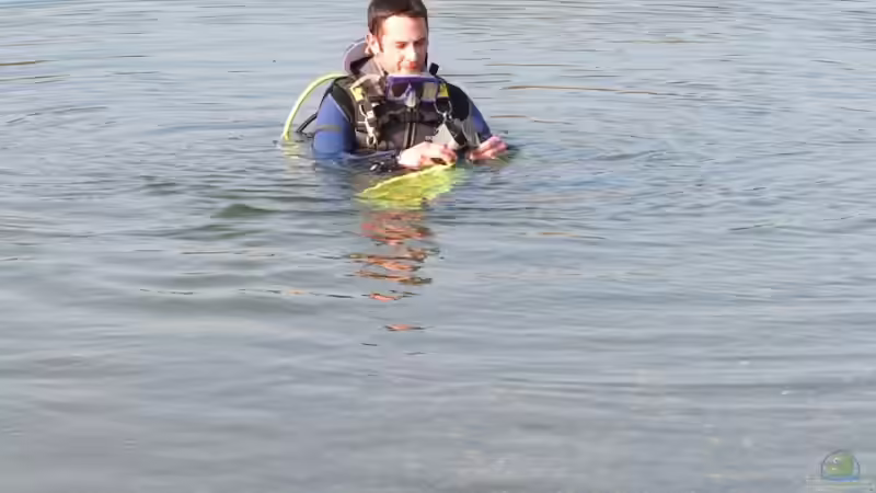 Userbild von Daniel Schmidt von Daniel Schmidt (31)