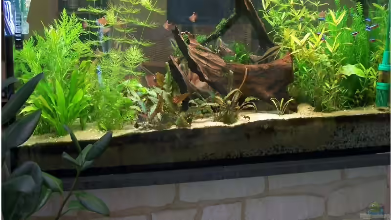 Userbild von Daniel Schwarzer von Daniel Schwarzer (4)