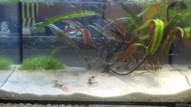 Userbild von Daniel von Daniel (11)