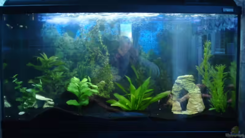 Userbild von Daniela Echter von Daniela Echter (9)