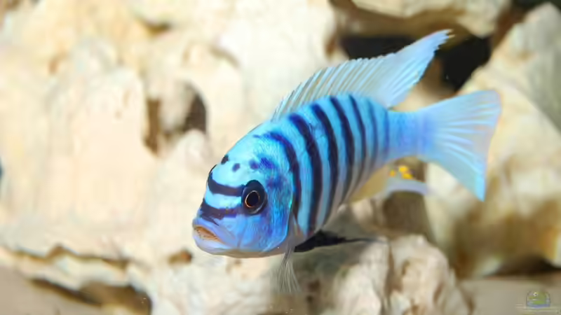 Userbild von Danny Michel von Danny Michel (10)