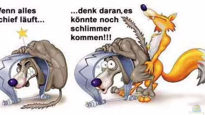 Userbild von Danny von Danny (34)