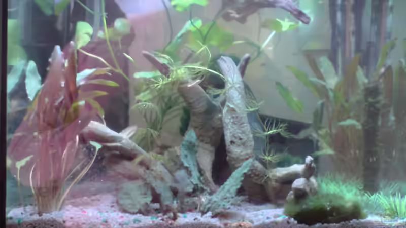 Userbild von Dasy´s_Neelybecken von Dasy´s_Neelybecken (18)