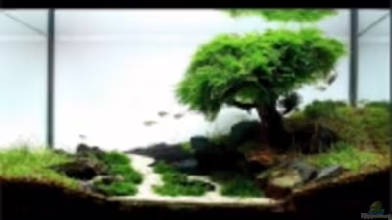 Userbild von David B von David B (39)