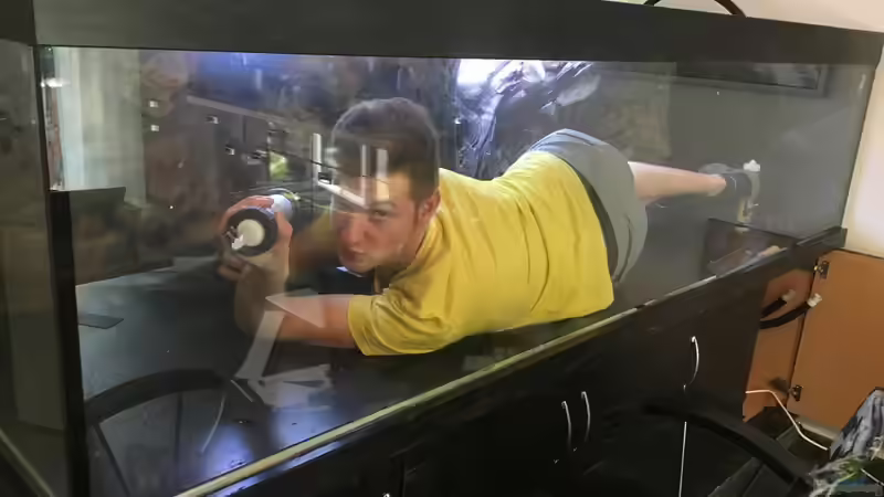 Userbild von David Malawi von David Malawi (33)